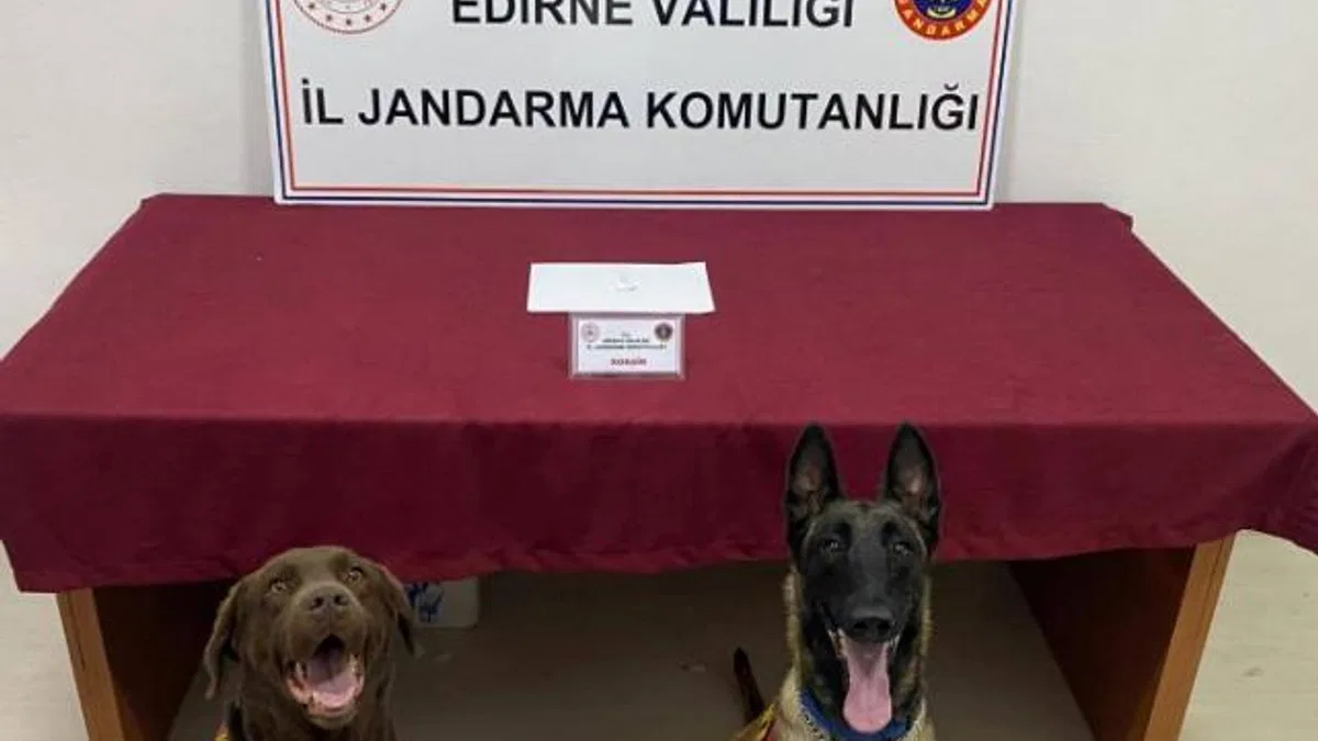 Edirne'de sürücüye kokainden adli işlem