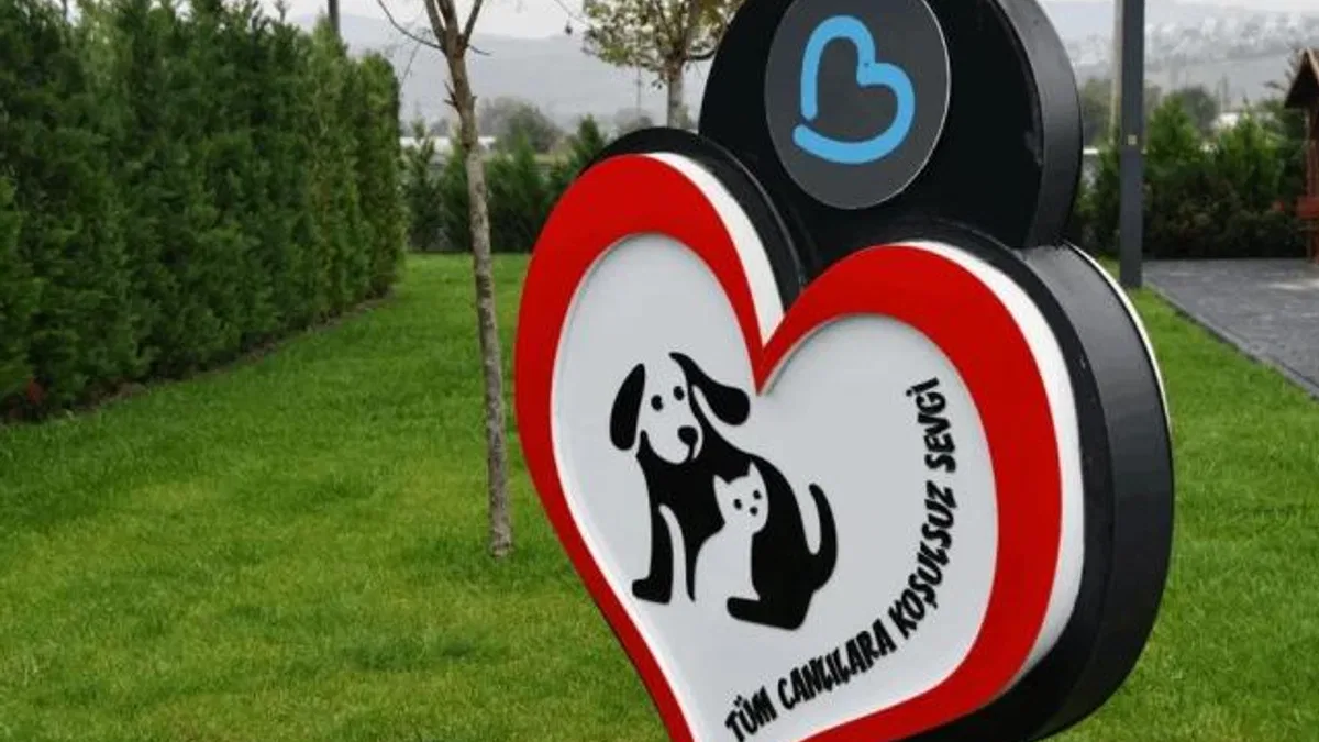 Balıkesir’de can dostlar Büyükşehir eliyle güvende