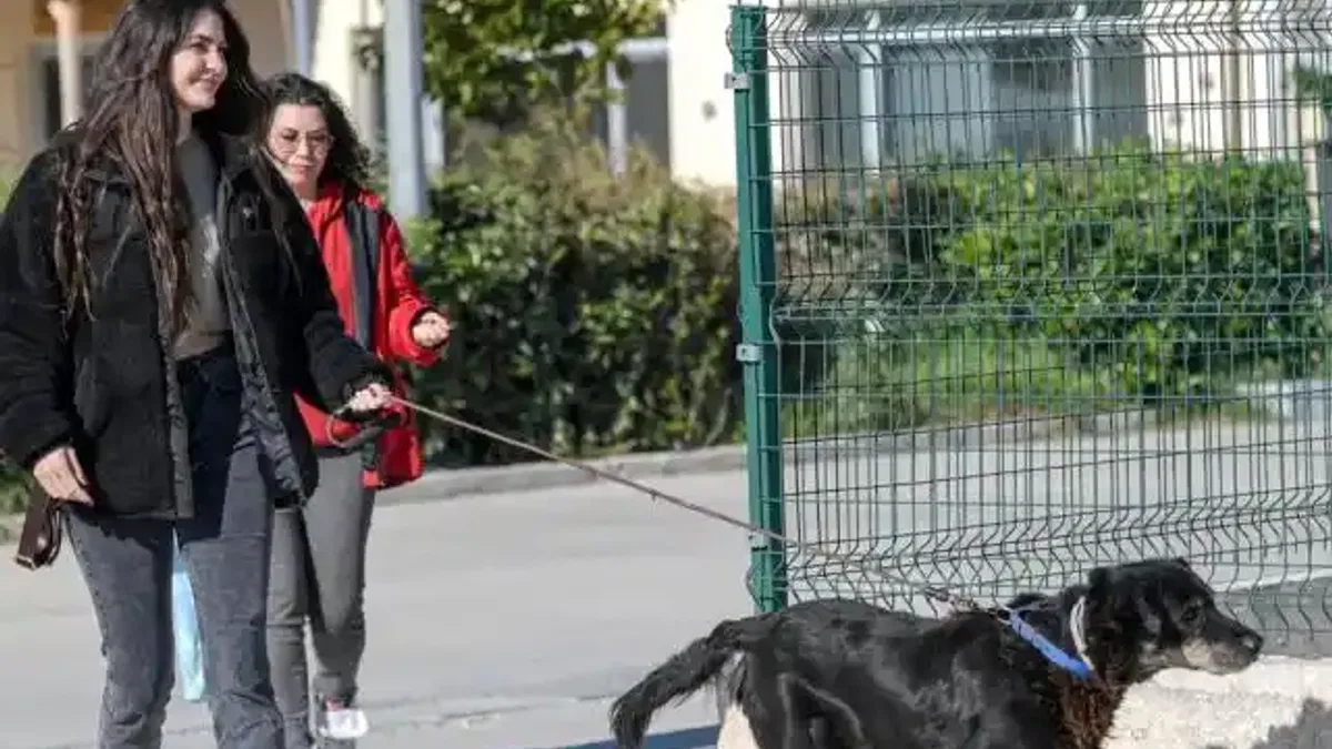 İzmir Menemen’deki yangından kurtarılan 17 hayvana Büyükşehir sahip çıktı