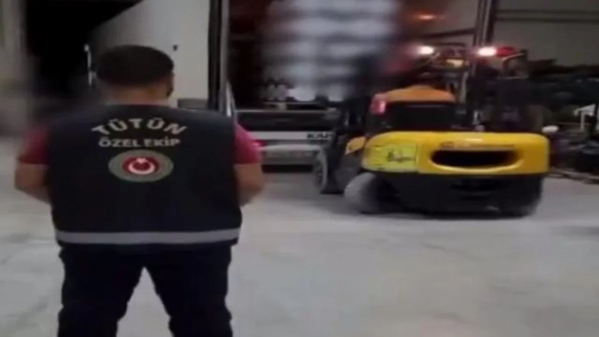 Mersin'de 14,5 milyon dal makaron ele geçirildi