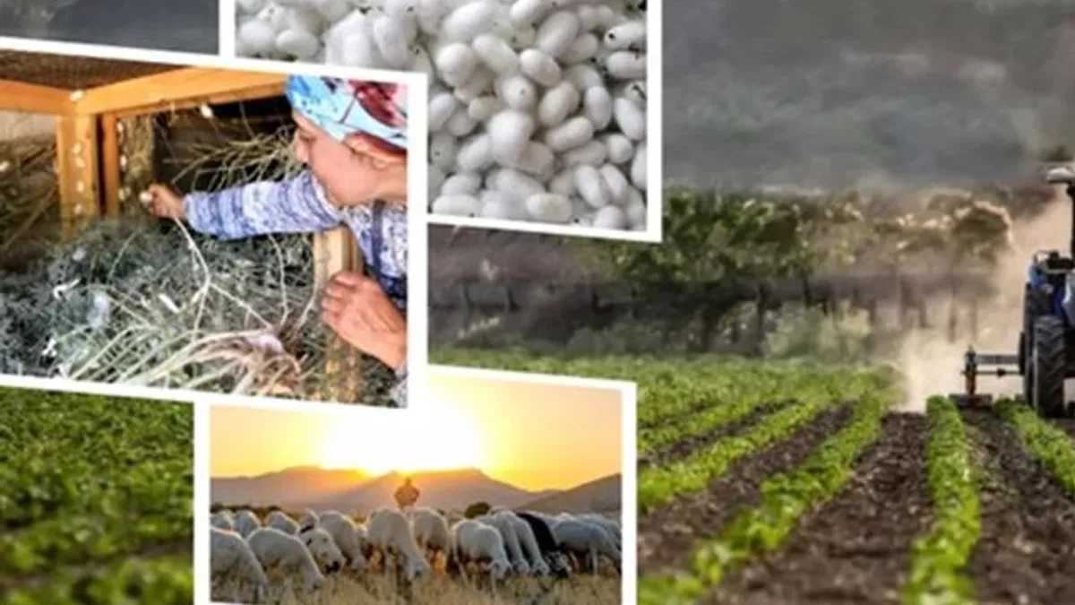 406,6 milyon TL'lik tarımsal desteklemeler hesaplarda