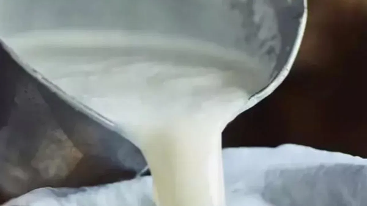 Şubat'ta süt ürünleri üretiminde düşüş... Ayran ve kefir üretimi yüzde 6,9 arttı