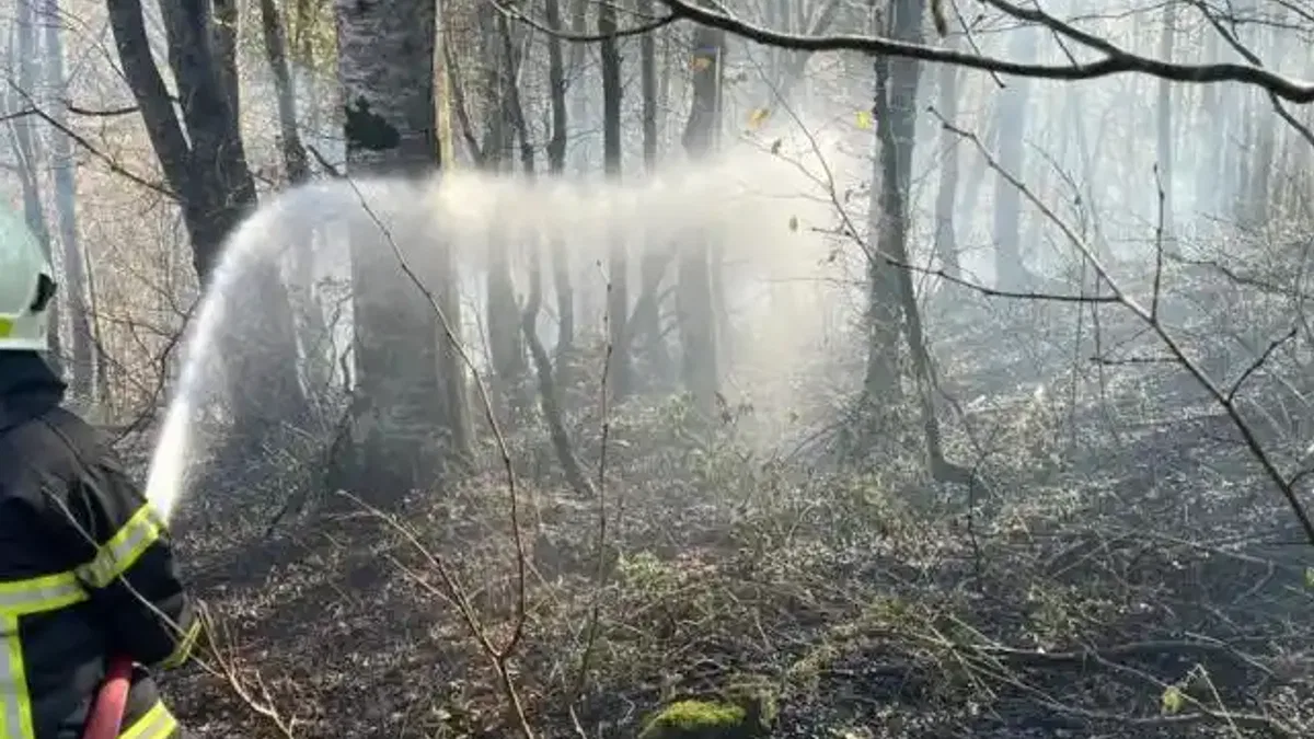 Ordu’da bir haftada 40 yangın alarmı