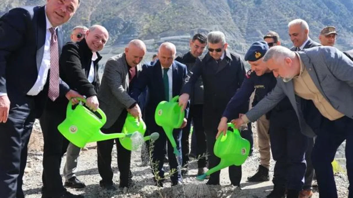 Artvin’de Butko zeytini üretimi yaygınlaşıyor