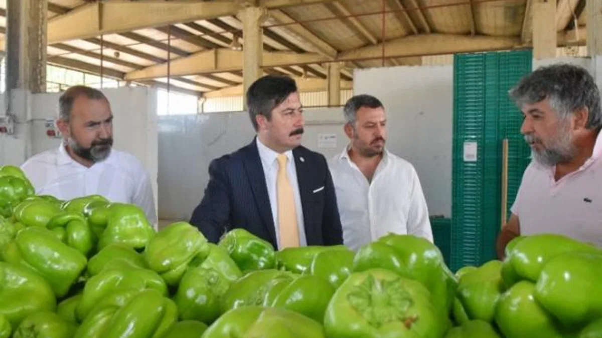 Yenişehir Biberi'ne yeni pazar arayışı