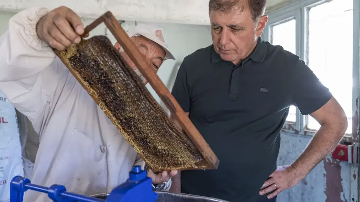 İzmir'de Başkan Tugay üreticiyle bal sağdı