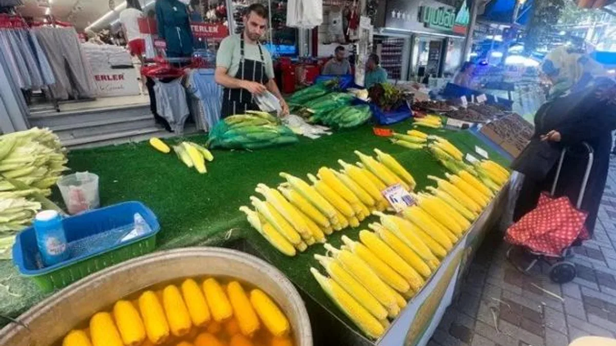 Mısır tezgahlarda yerini aldı: İşte pazarın son durumu!