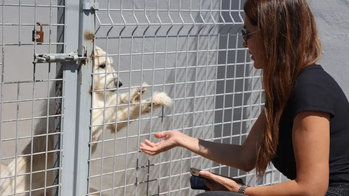 Antalya’da Sokak Hayvanları Bakımevi tam not aldı