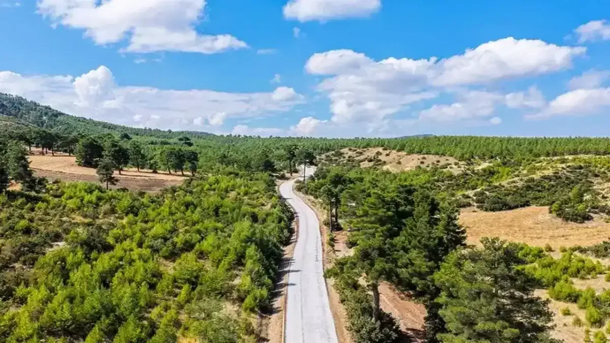 Denizli'de Honaz ve Bozkurt'u buluşturan yol