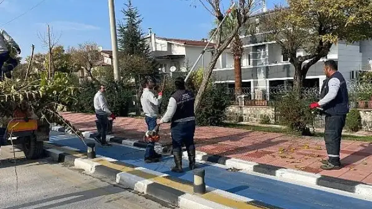 Büyükşehir Kent Genelinde Budama Çalışmalarına Devam Ediyor