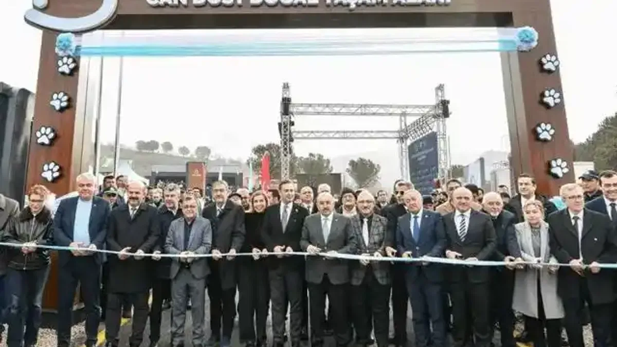 Balıkesir’den sokak hayvanlarına sıcak yuva