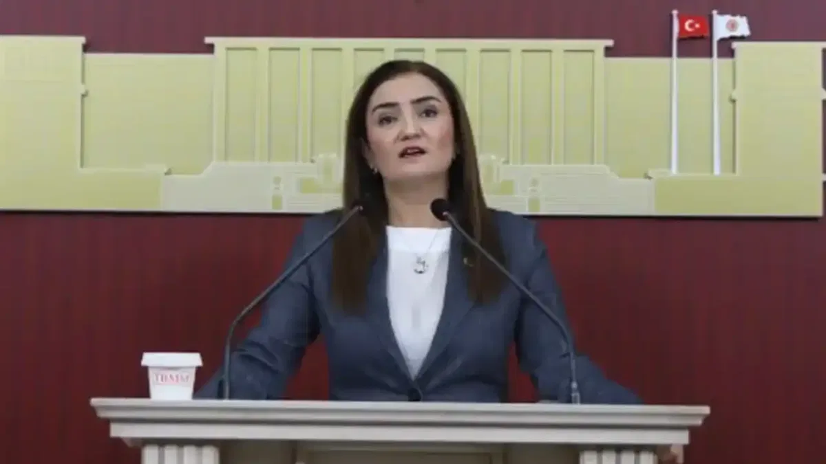 CHP Grup Başkanvekili Kılıç’tan 'silahsızlanma' vurgusu