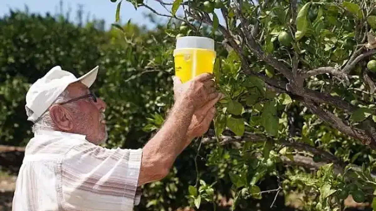İzmir Büyükşehir Belediyesi çiftçiye umut oldu