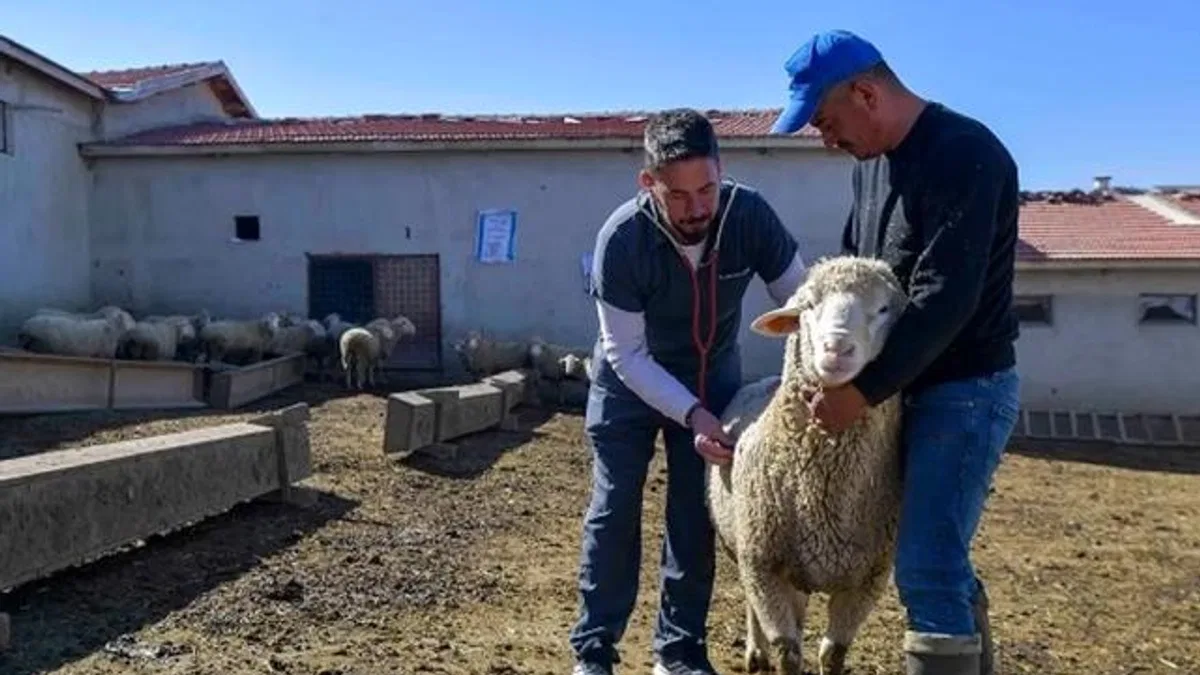 ABB'den kırsala veterinerlik hizmeti