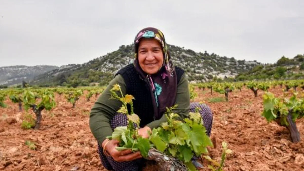 Çiftçinin yüzü organikle gülüyor