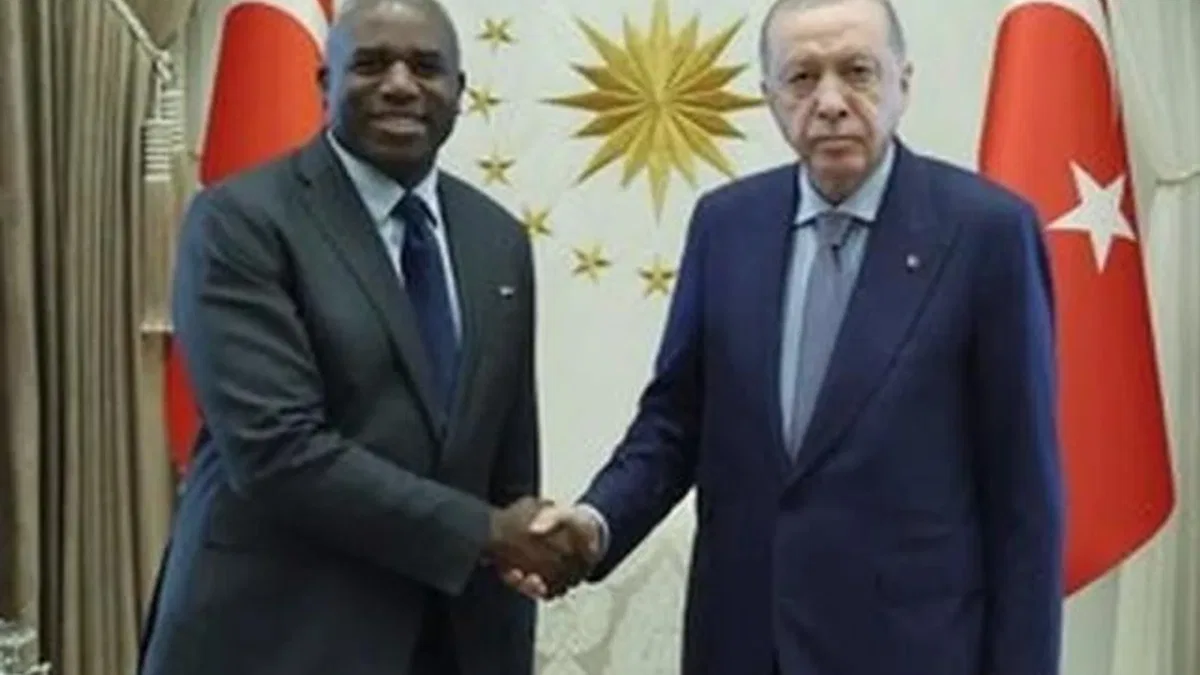 Cumhurbaşkanı Erdoğan, İngiltere Dışişleri Bakanı'nı kabul etti