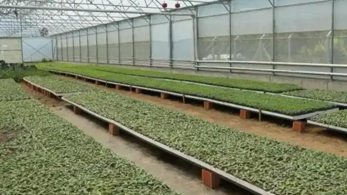 Ordu’da 4,5 milyon fideyle üretim seferberliği