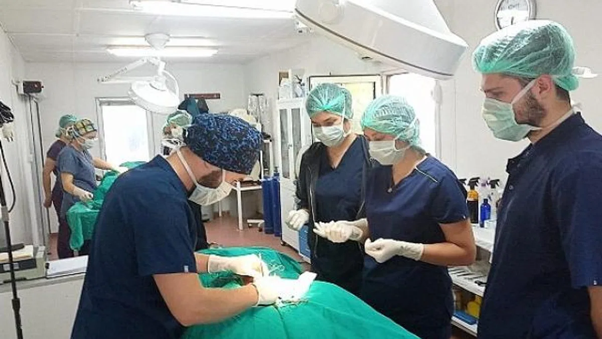 Geleceğin veteriner hekimlerine uygulamalı eğitim