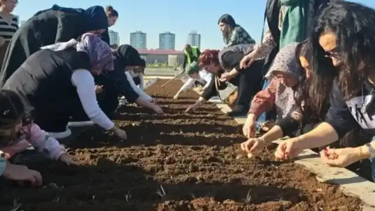 Diyarbakır Tıbbi ve Aromatik Bitkiler Atölyesi’nde safran ekimi