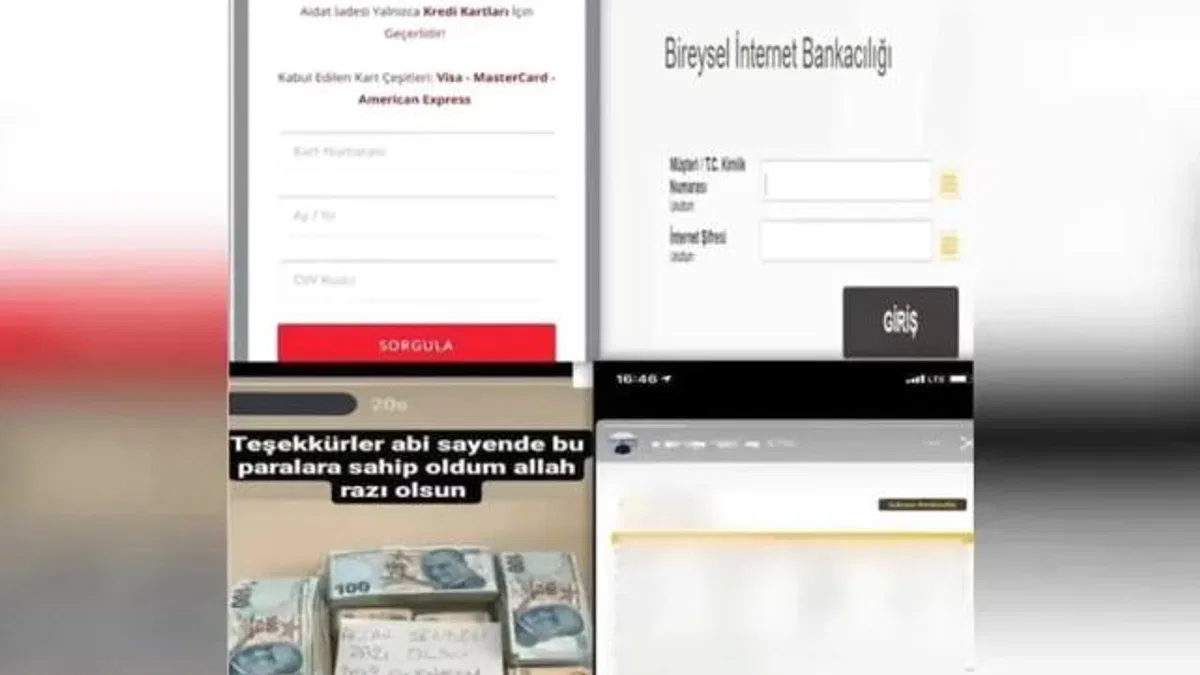 23 ilde 68 şüpheli 'Siberağ'a takıldı!