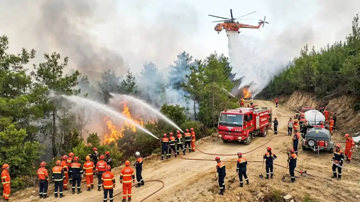 Yeşil Vatan'ı korumaya devam! O yangınlarda 3 ayda 69 şüpheliden 15'i tutuklandı