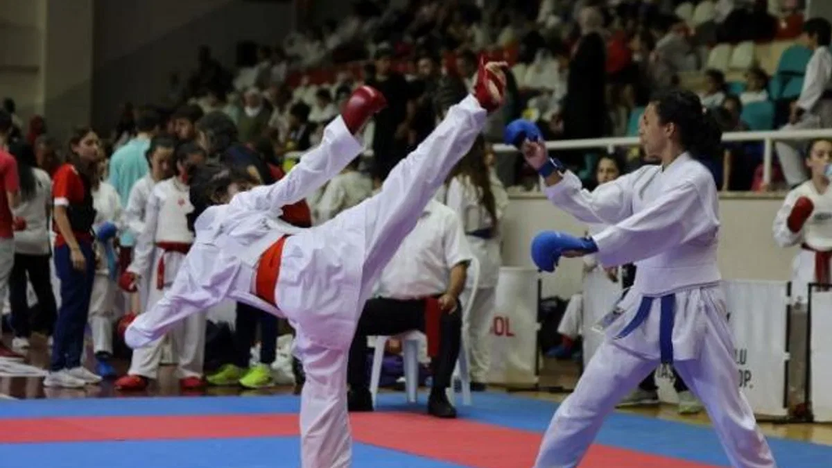 Gemlik'te karate şöleni
