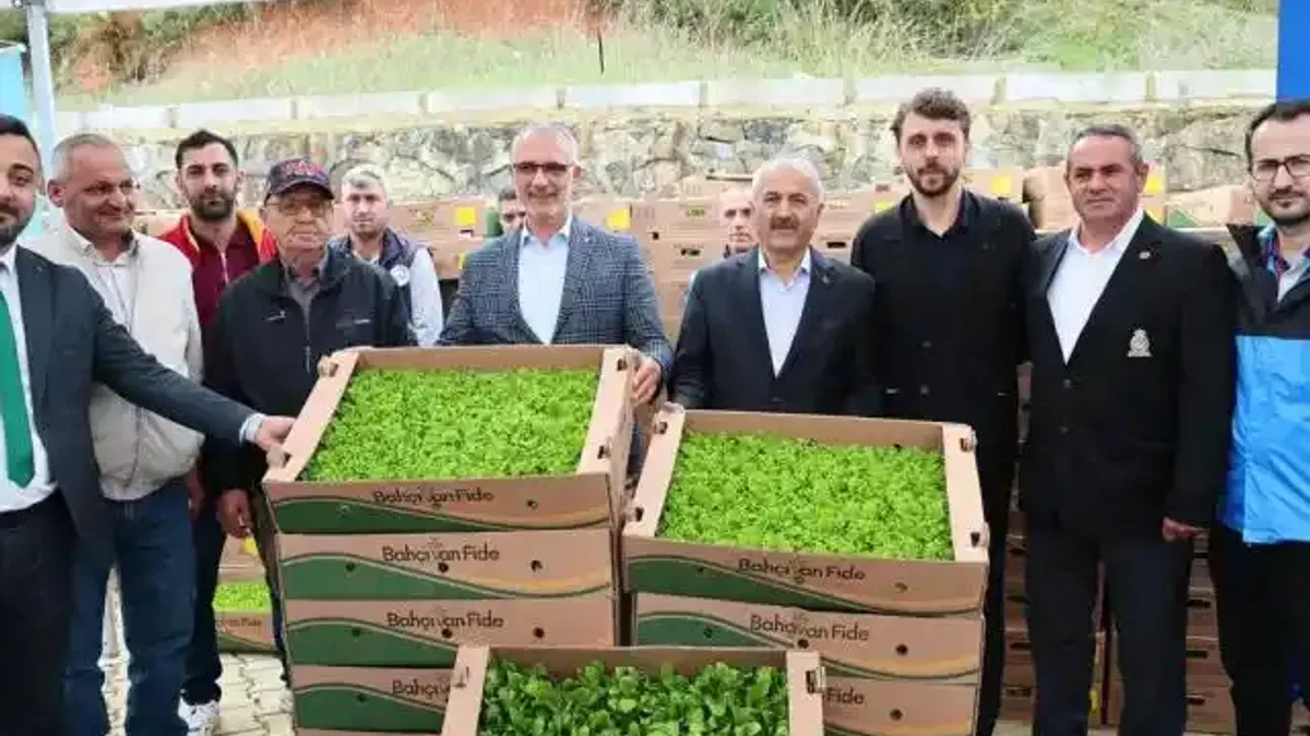 Gebze'de sebze fideler dağıtıldı
