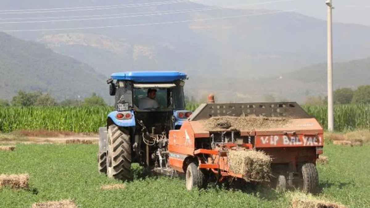 Muğlalı üreticinin yüzü gülüyor