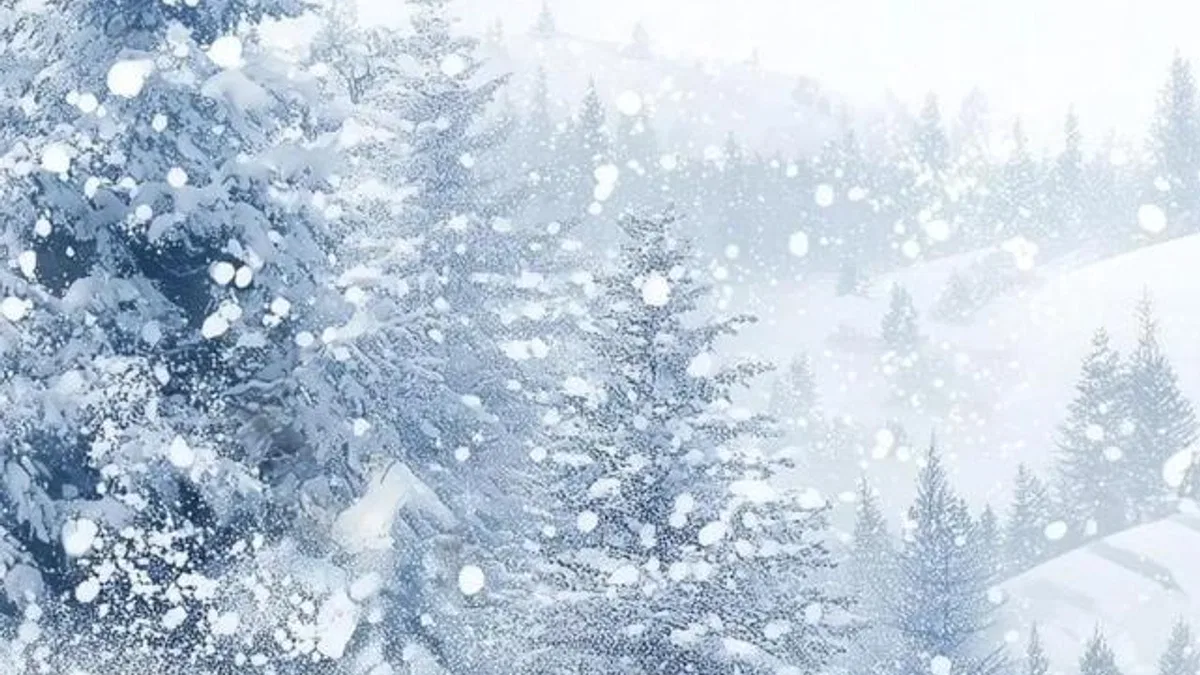 Kar tatili haberleri gelmeye başladı