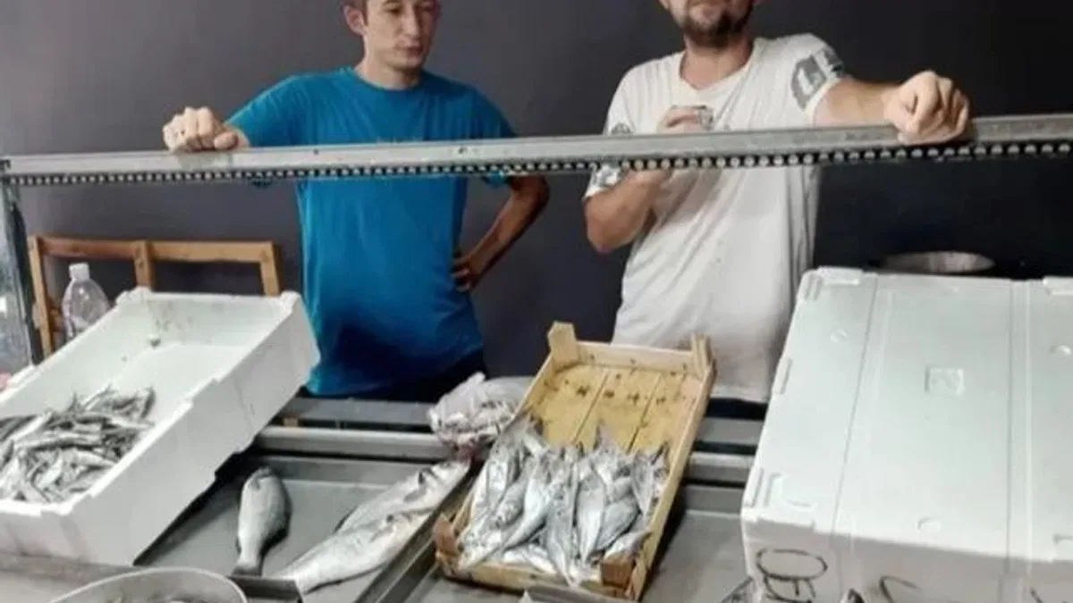 Av sezonu geliyor, balık fiyatları dudak uçuklatıyor