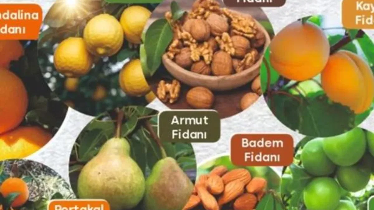 Muğla'da Milas Belediyesi tarımsal desteklemelerini sürdürüyor