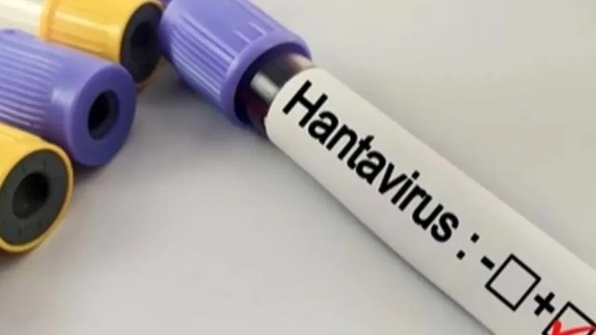 Hantavirüs salgına dönüşür mü? Kapalı alan temizliğinde büyük risk