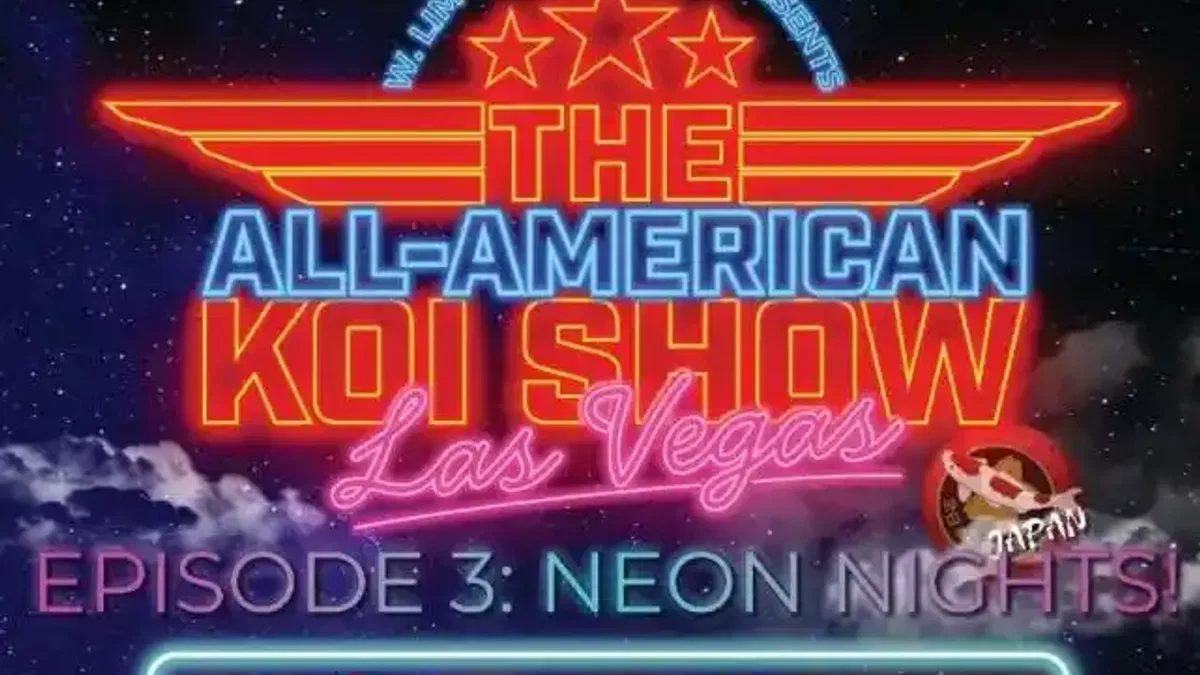All American Koi Show 2026: Koi dünyasının en prestijli yarışması Las Vegas'a dönüyor