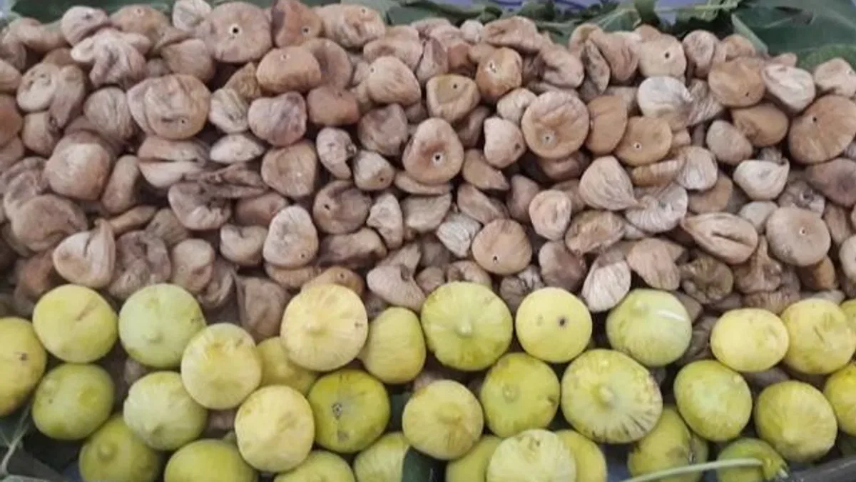 Kuru üzüm ve kuru kayısı da ihracat başarısı