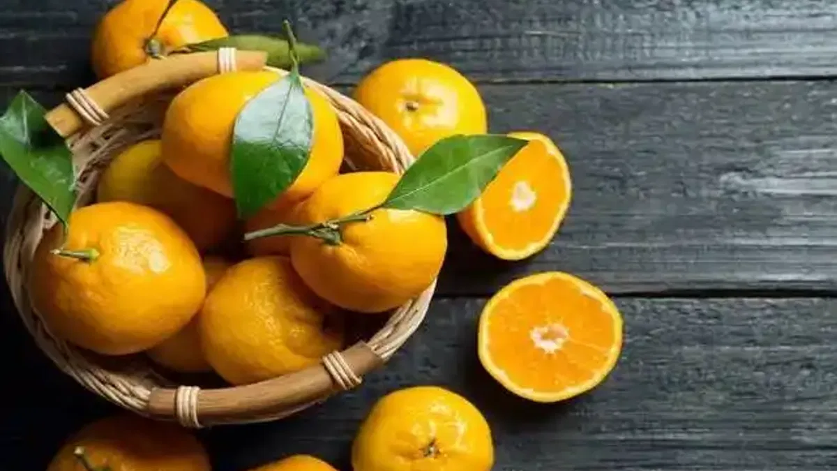 Mandalina ihracatı tarih yazıyor... 2023'ün rekorunu 2025'in 11 ayında kırdı