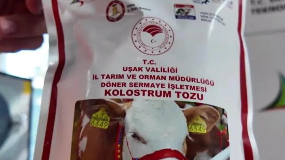 Uşak’ta Türkiye’nin ilk dondurarak kurutma kolostrom tesisi kuruldu... Hayvancılıkta yenilikçi adım hayata geçti