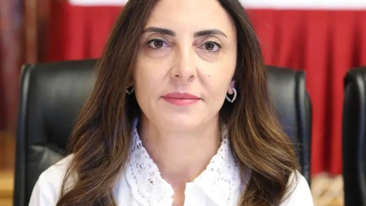 CHP'li Milletvekili Altaca Kayışoğlu'ndan 'insan hakları' vurgusu