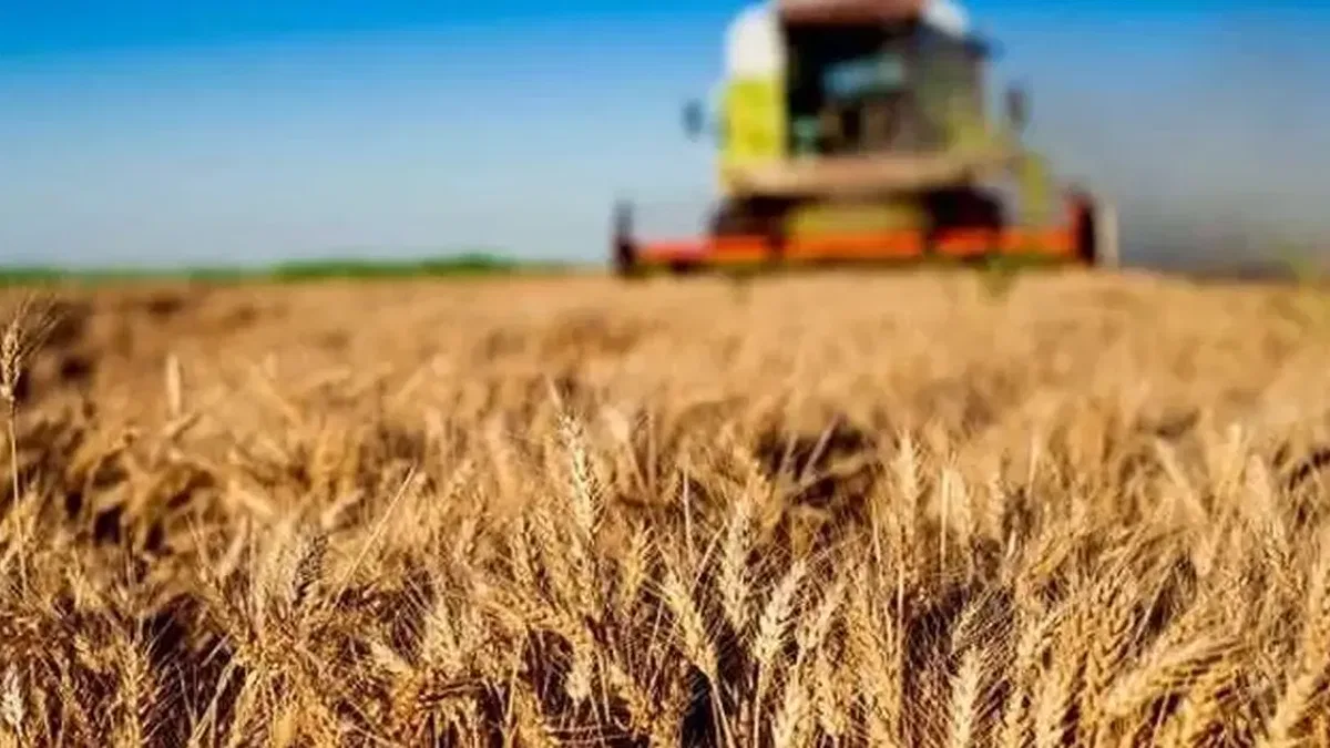 Kırsala 12,5 milyar liralık dev hibe desteği