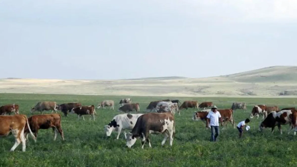 Kars Ani'de meralar yasaklandı mı? Açıklama geldi