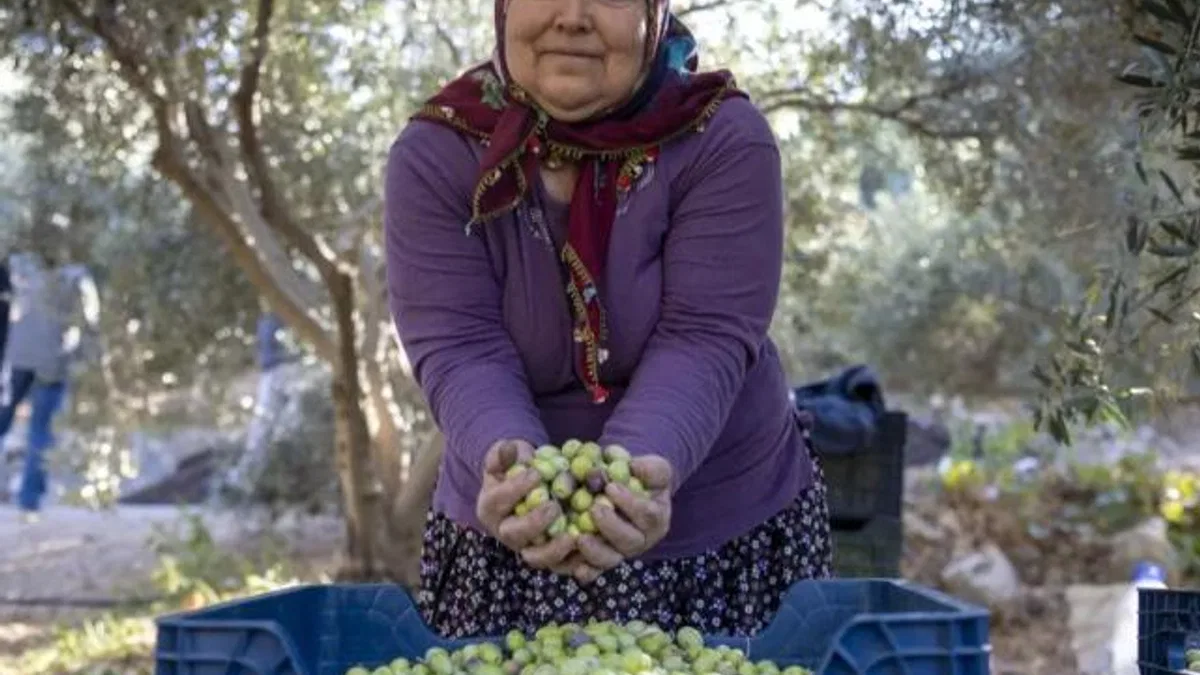 Mersin’de kadın eli toprağa değer katıyor