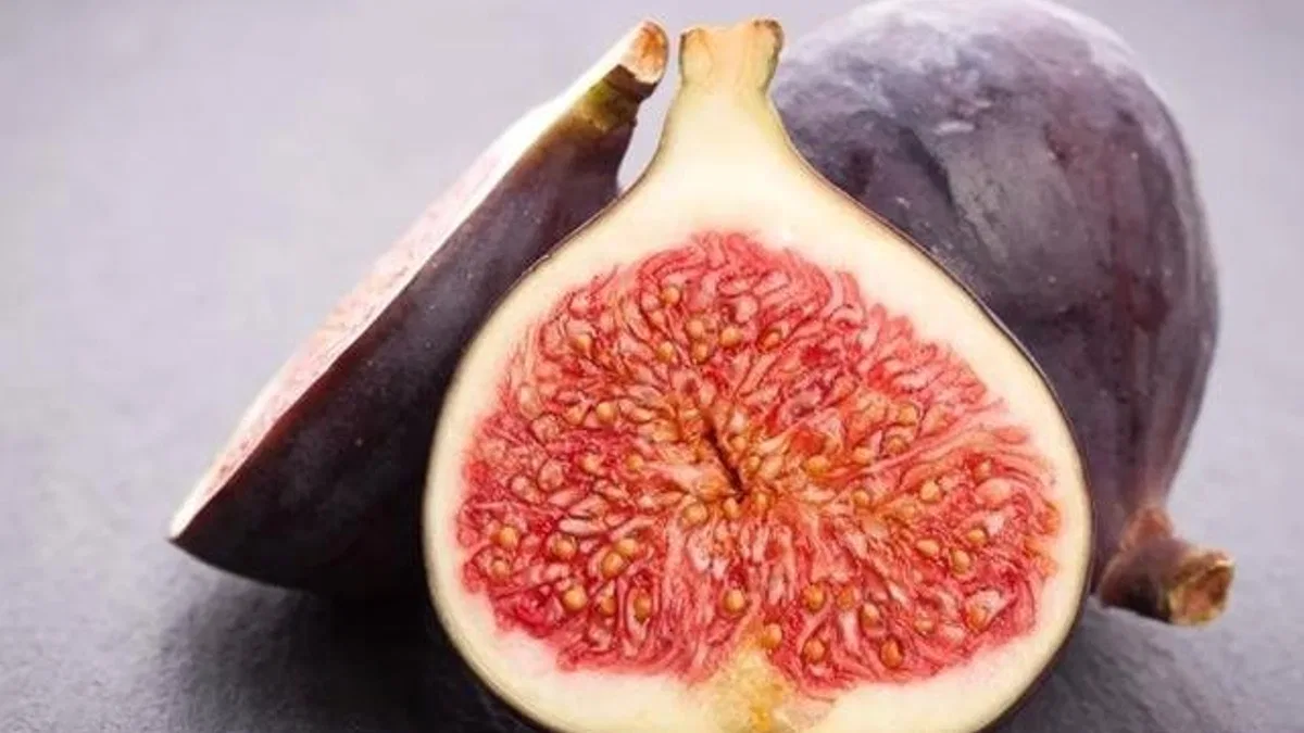 Cennet meyvesi incirlerin ihracat yolculuğu başladı