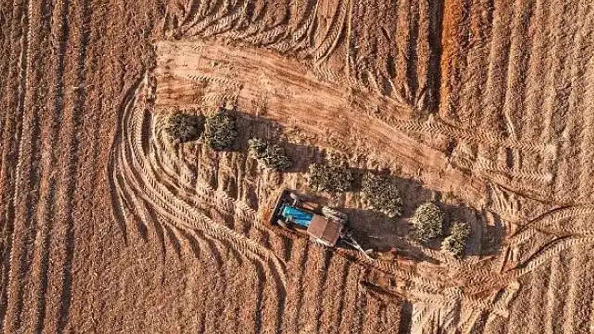 Manisa'da Toprak Sağlığı İçin Uluslararası Proje