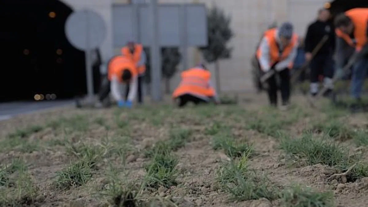 Kuraklığa karşı İzmir'in yeşil örtüsünde dönüşüm