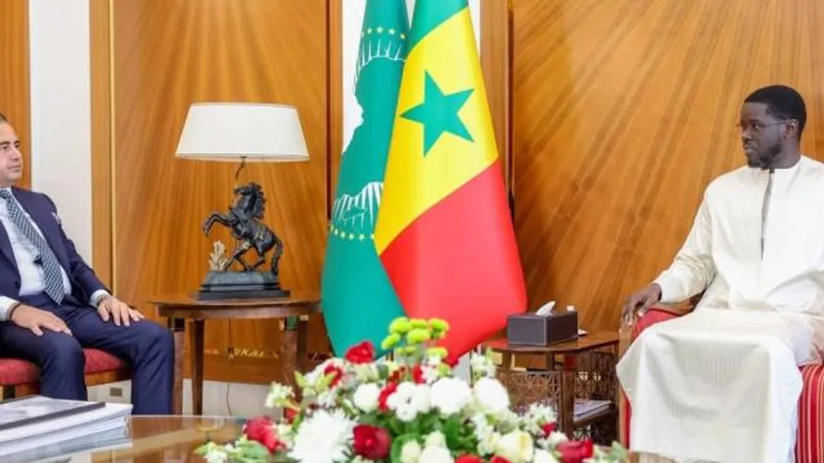 Türk iş adamının Senegal'de üst düzey işbirliği adımı