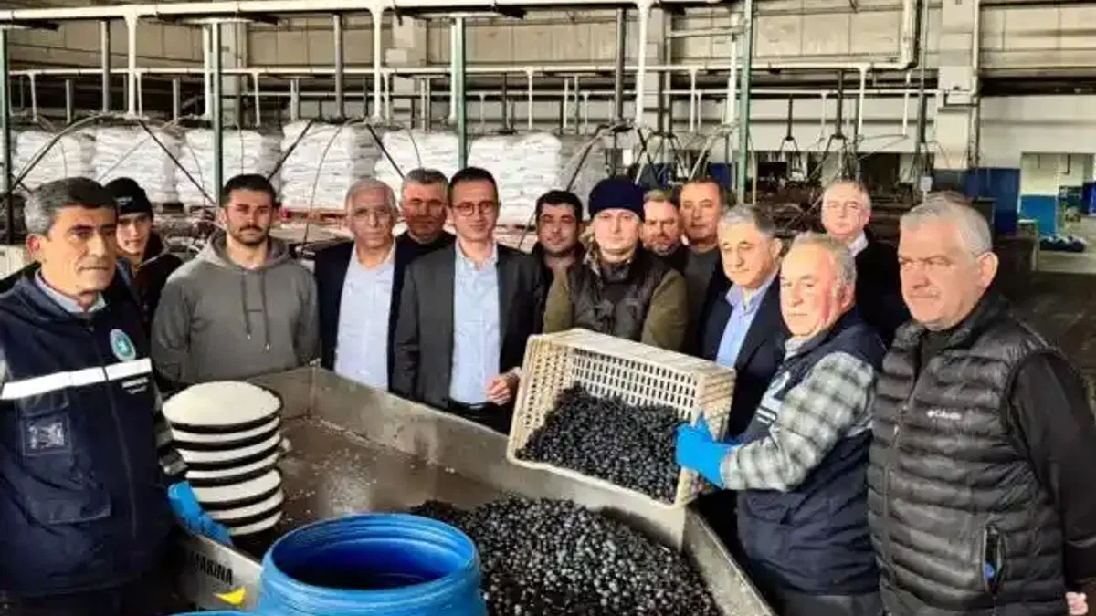 Bursa İznik'te Kaymakam Karaman'dan Zeytin Kooperatifi'ne ziyaret