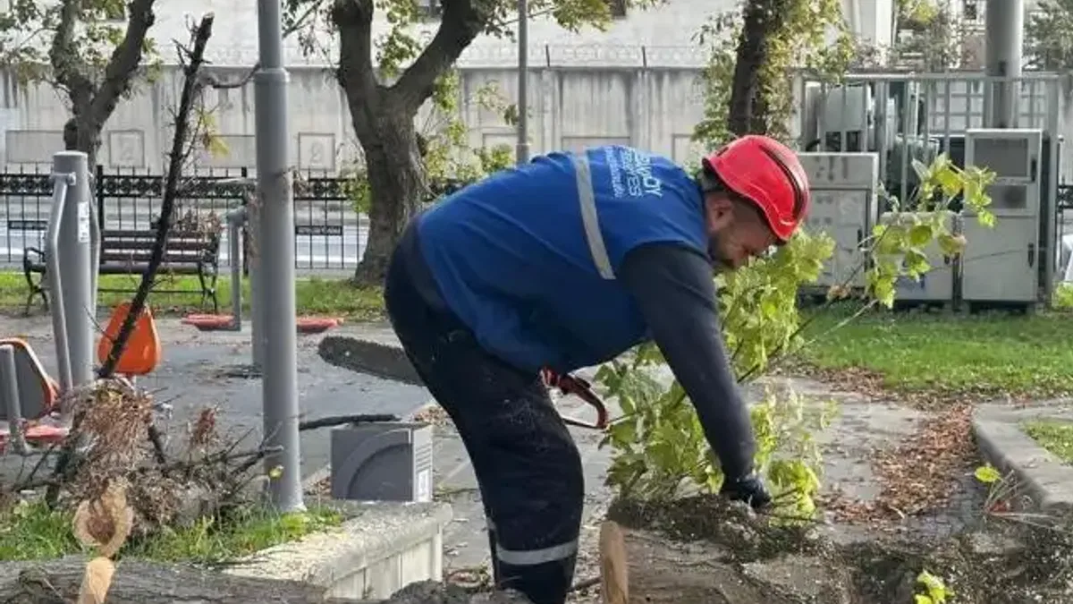 İstanbul Bakırköy'de teke böceğine karşı etkin mücadele