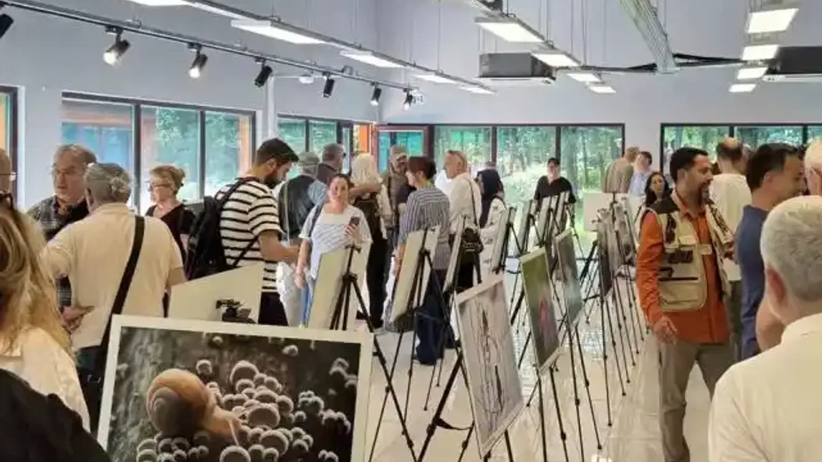 'Türkiye’nin Doğası' sergisi sanatseverlerle buluşuyor!