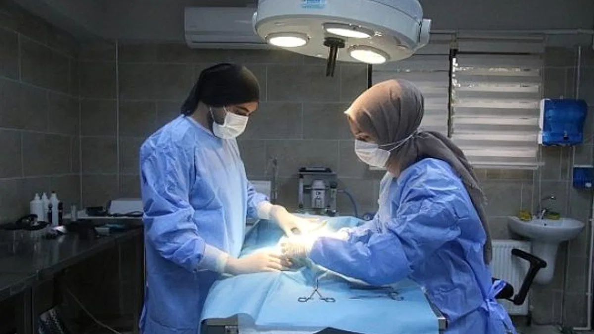 Büyükşehir patili dostlara sahip çıkıyor