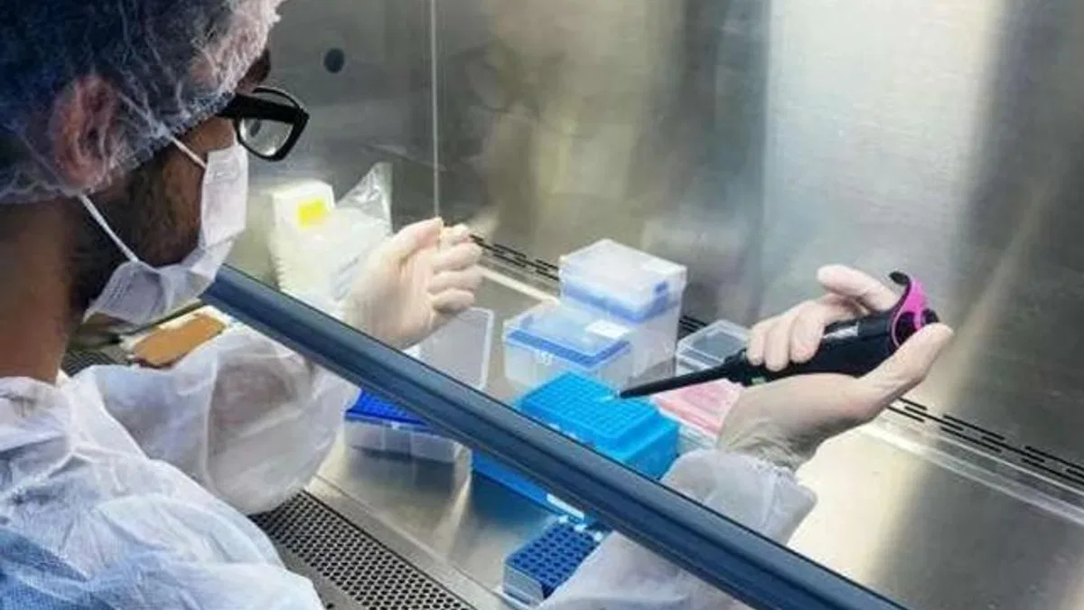 Lojistik sorunları aşılamayı aksatıyor! Taşıma aşıyla nereye kadar?