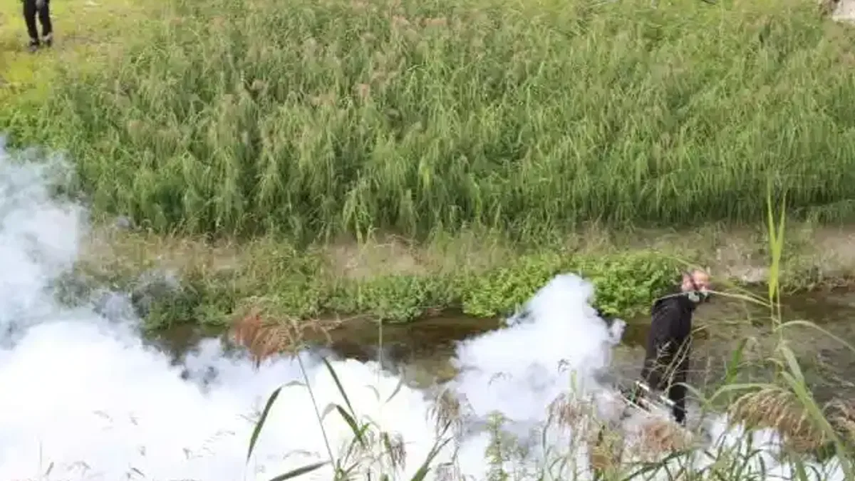 Kocaeli'de sinekle mücadele dört mevsim hız kesmiyor